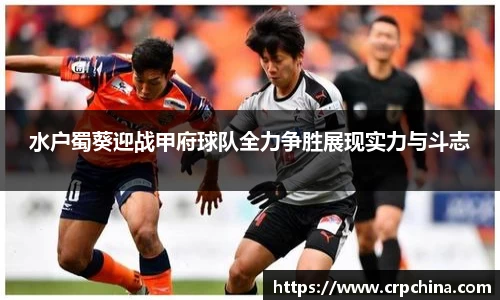 水户蜀葵迎战甲府球队全力争胜展现实力与斗志