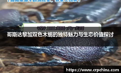 哥斯达黎加双色木蝎的独特魅力与生态价值探讨