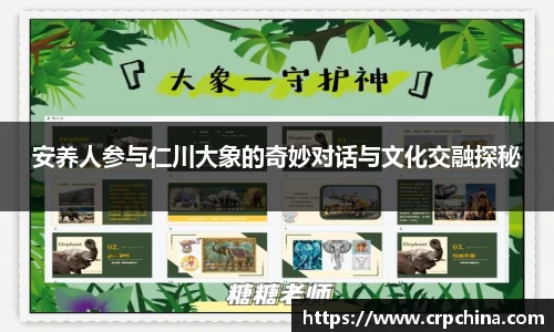 安养人参与仁川大象的奇妙对话与文化交融探秘